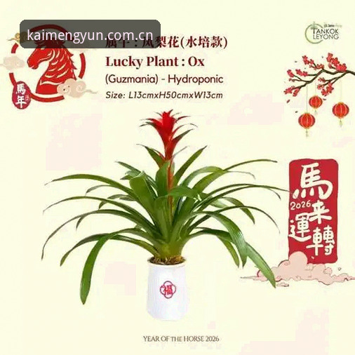 开运KAIYUN官网功能详解与操作教程：2026新版体育平台使用指南